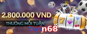 twin68